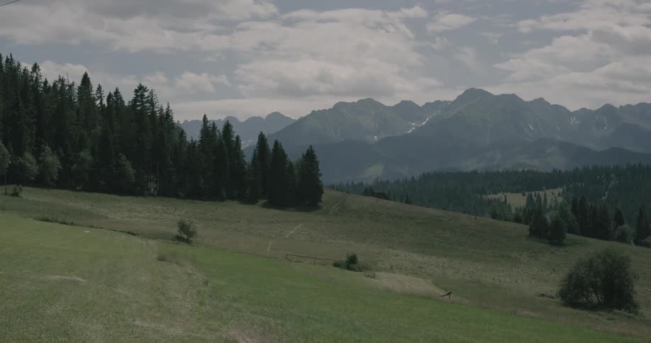 Trees and grass on the slope of a hill with jagged peaks on the horizon