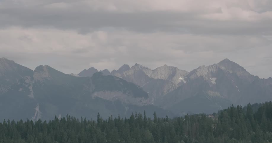 A foggy mountain range looming over a pine forest on a cloudy day