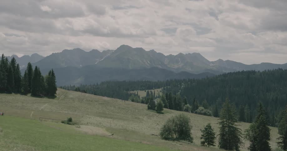 Rolling hills covered in patches of trees with a large mountain range in the distance