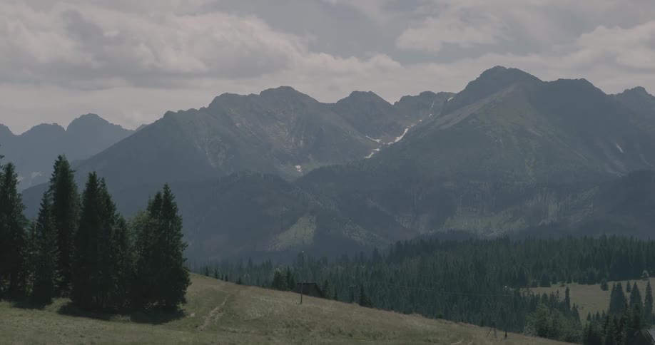 A still shot of a mountain surrounded by trees and fog