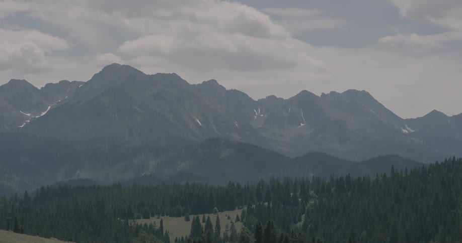 A forest at the base of a misty mountain range