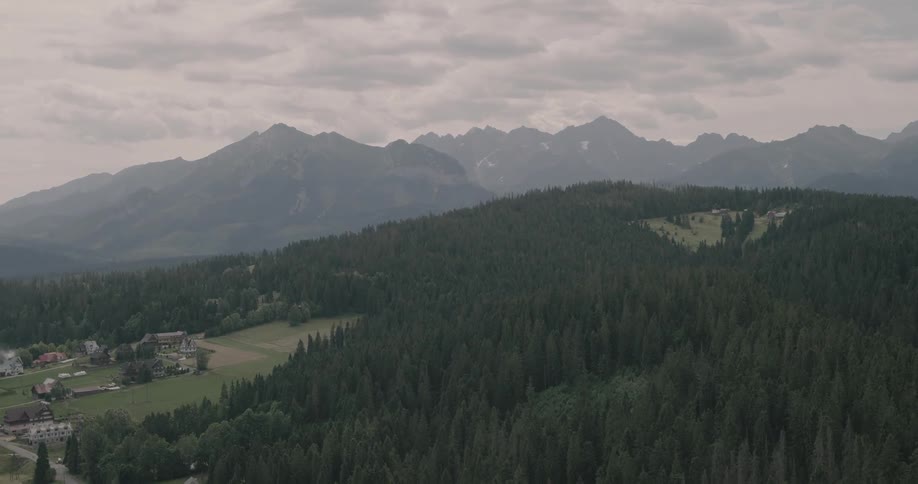 The town is near the forest on the hill