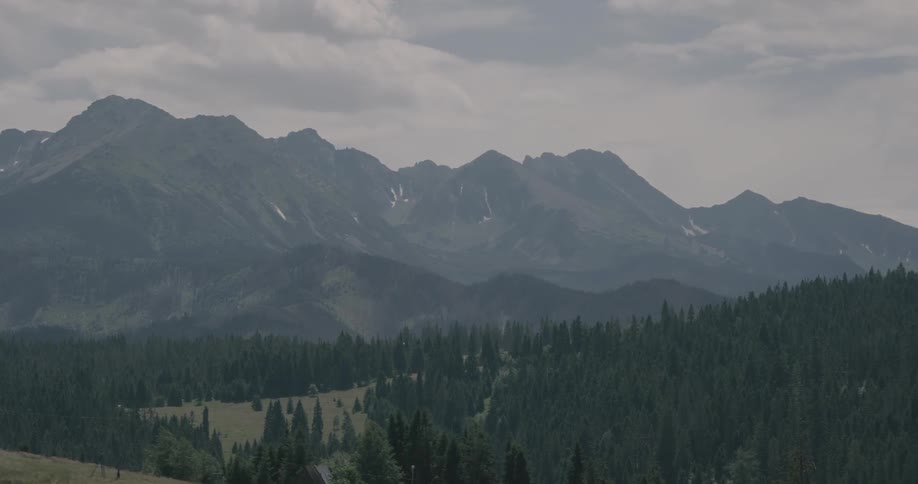 A scenic landscape contains an expansive mountain range and a dense green forest under a cloudy sky