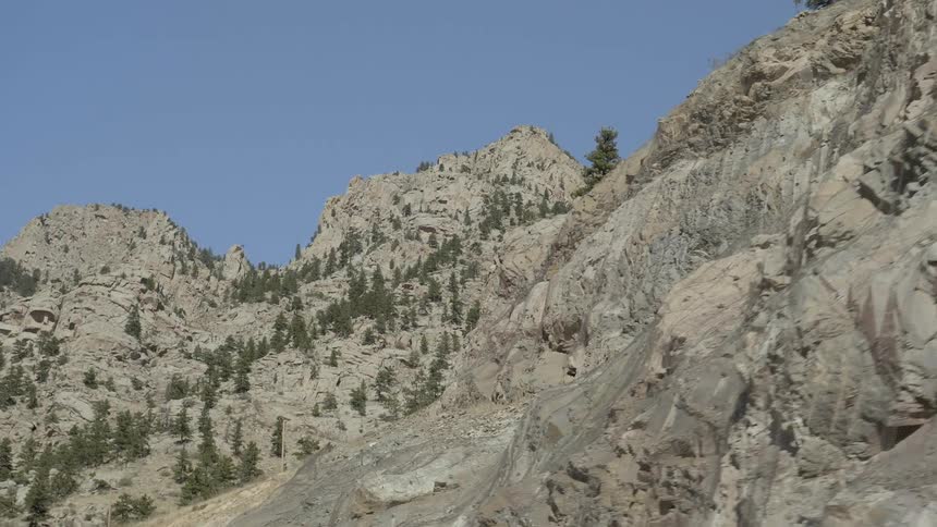 Trees are covering the mountains