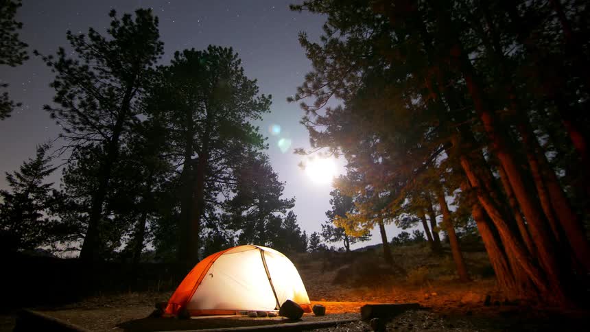 People are camping in the woods in a tent