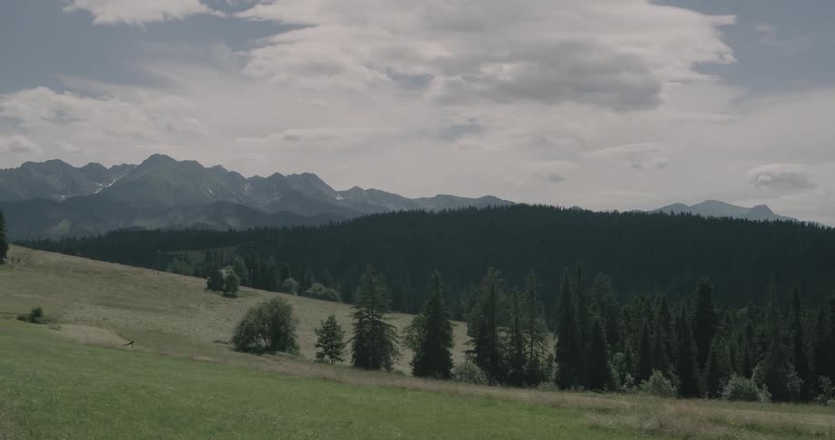 Grass and trees on a hill slope with forest and mountains on the horizon