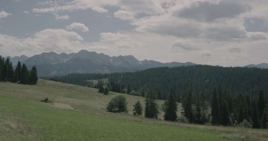 A tree filled valley with green grass and evergreens rests peacefully under the mid day cloudy sky