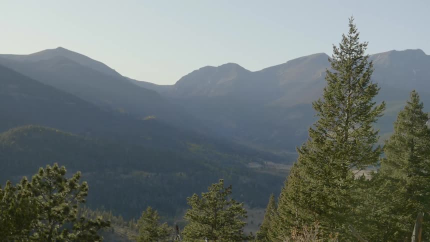 The view of a mountain range covered by trees on a muggy day