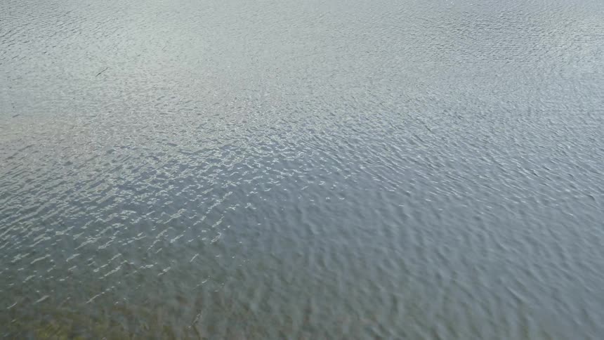Water ripples and flows on a lake