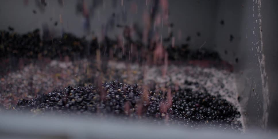 New Zealand Winery