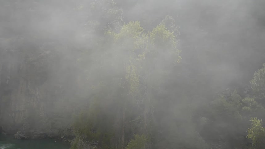 Fog flows over river and forest