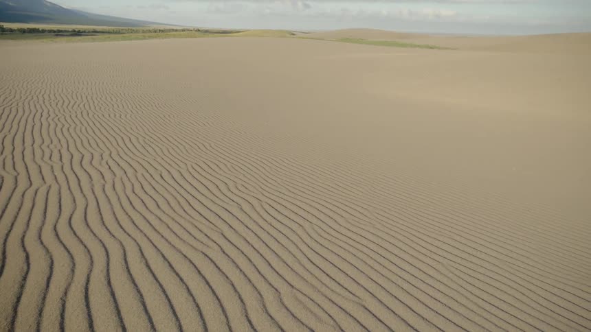 Sand dunes are bordered by grass and trees with mountains on the horizon