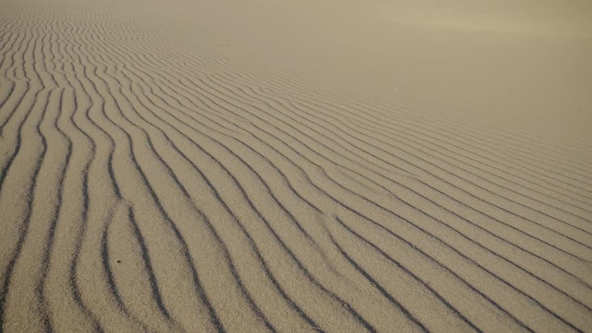 An expansive desert is seen to have lengthy wave like patterns in the sand on account of being by strong winds