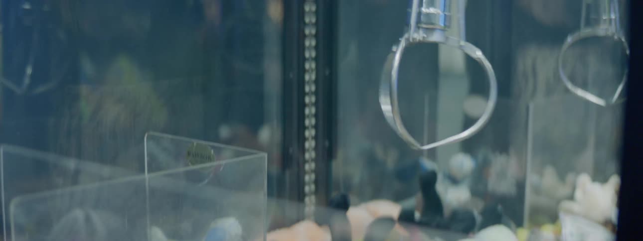A mechanical claw moves and descends in an attempt to grab a stuffed animal inside of this claw machine game