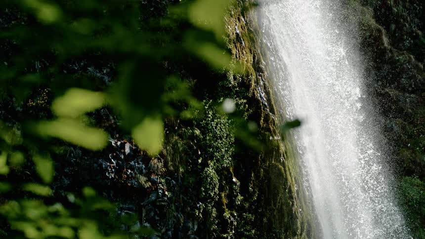 A waterfall flows down a moss covered cliff with lush green branches and leaves