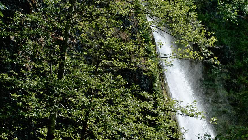 Mist rises from a waterfall flowing in a forested area