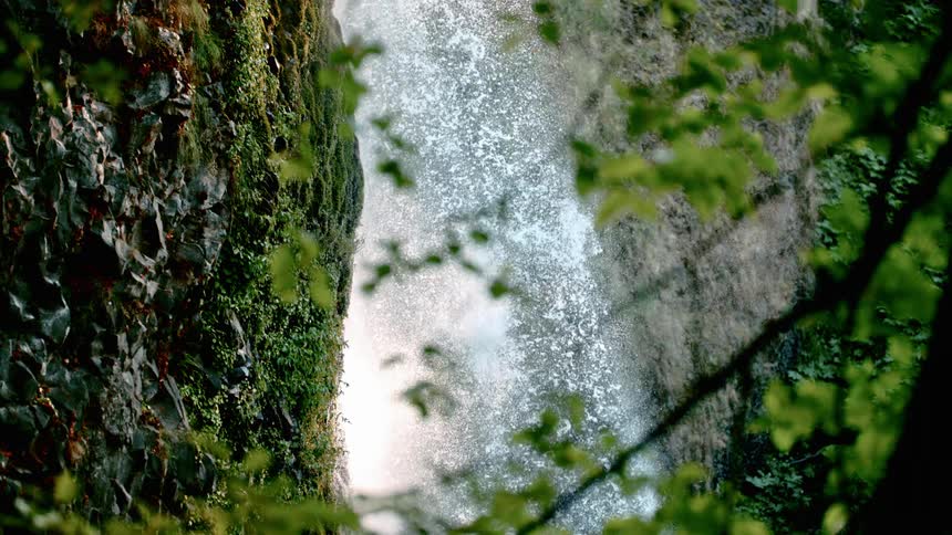 Through the branches and leafs of a nearby tree a waterfall is cascading down the rocky surface of a cliff