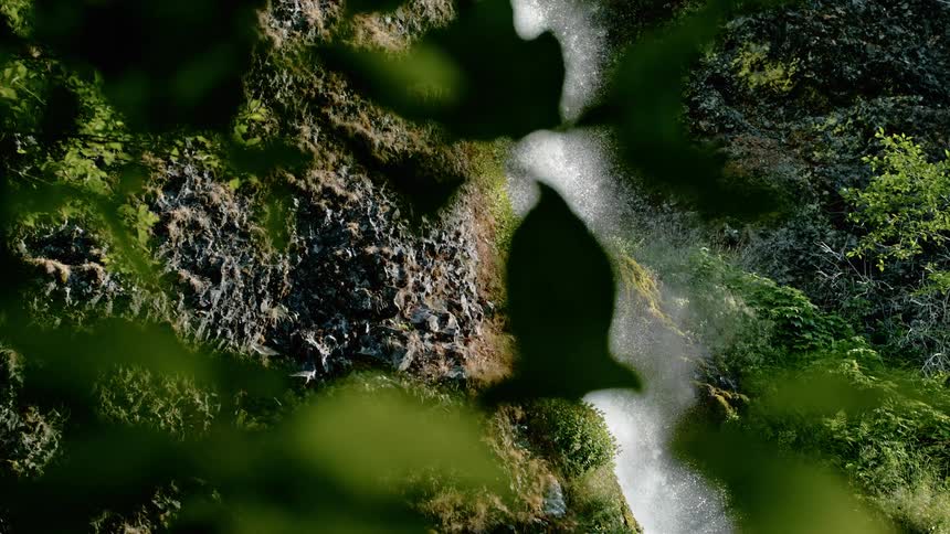 A waterfall cascades down a cliff surrounded by lush green plants
