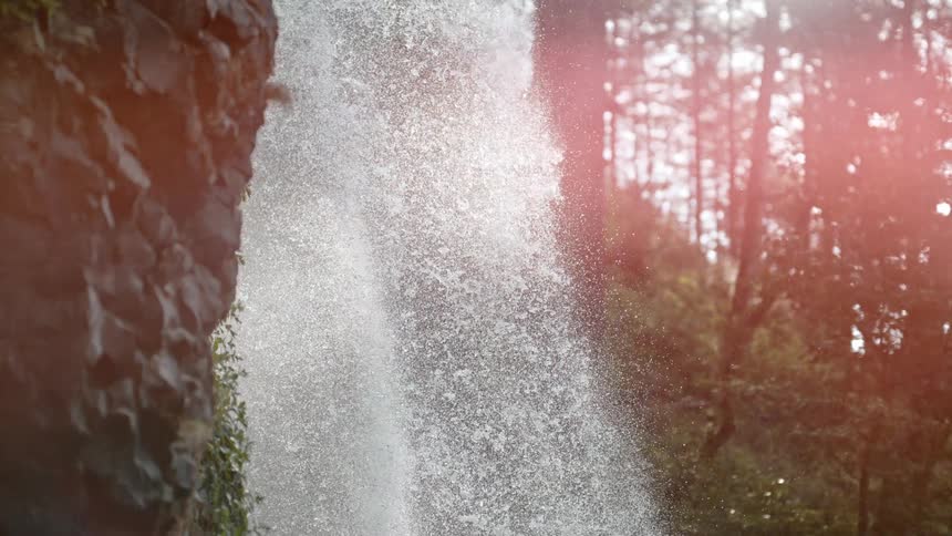 A waterfall gushes over a cliff in a sunny forest