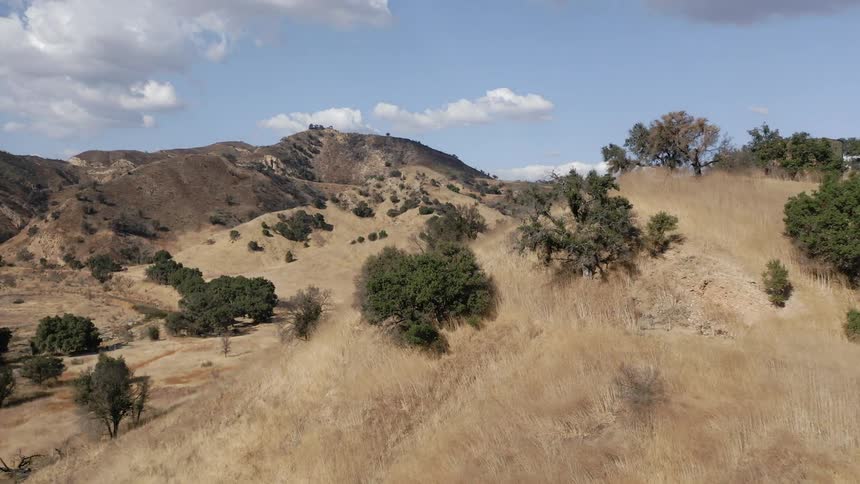 A slow moving shot of vegetation in a dry and rocky area