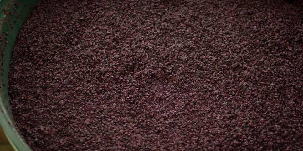 Close up of what appears to be coffee grounds