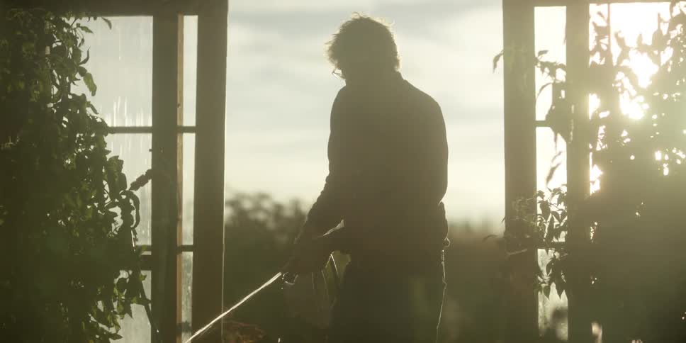 A man waters plants inside a greenhouse early in the morning