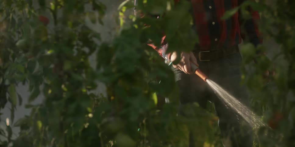 A man waters plants with a hose