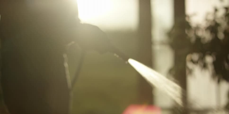 A person is spraying a hose outside at sunset