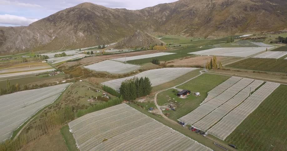 Pan across big farming field next to mountains on a sunny day