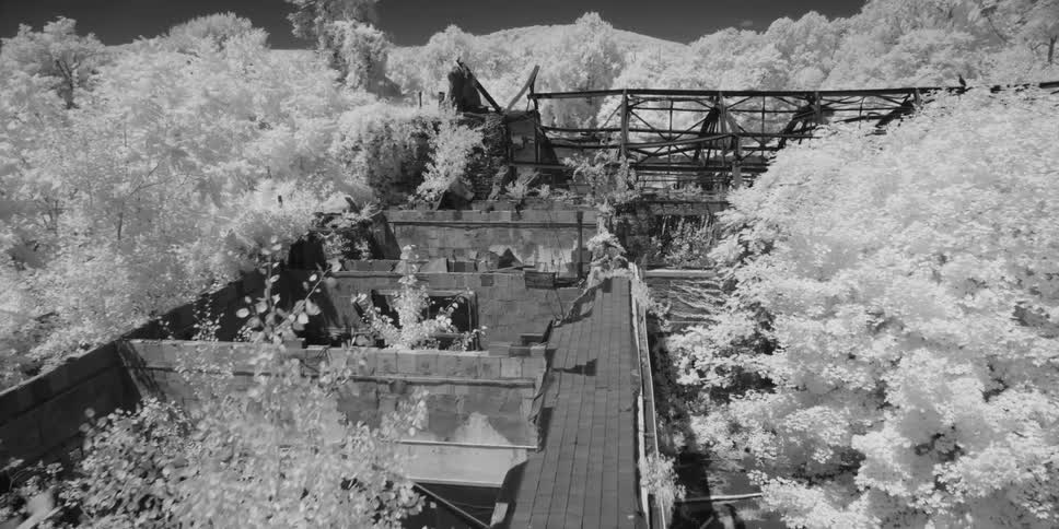 Destroyed buildings in the middle of the woods