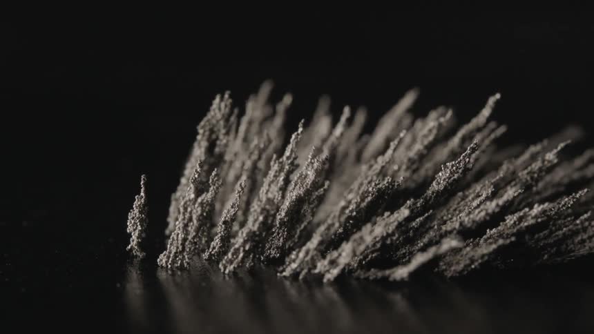 Iron shavings move with a hidden magnet