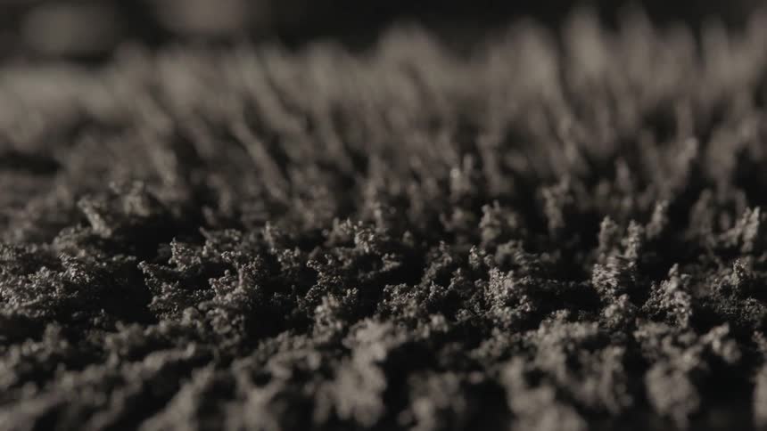 Time lapse view of wheat growing in a field