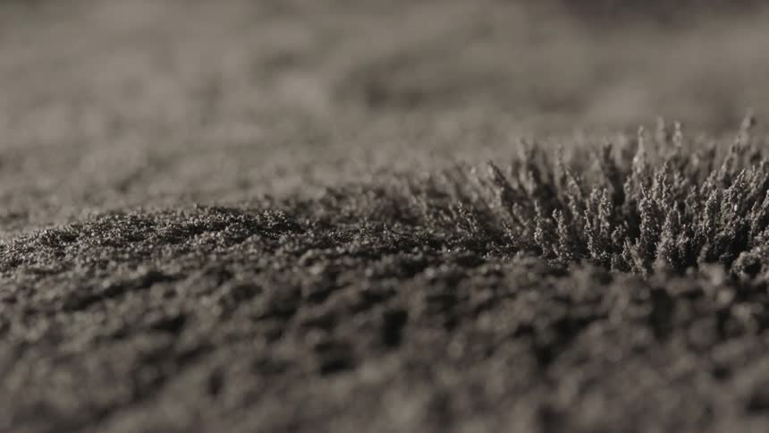 Time lapse of plants sprouting in the soil