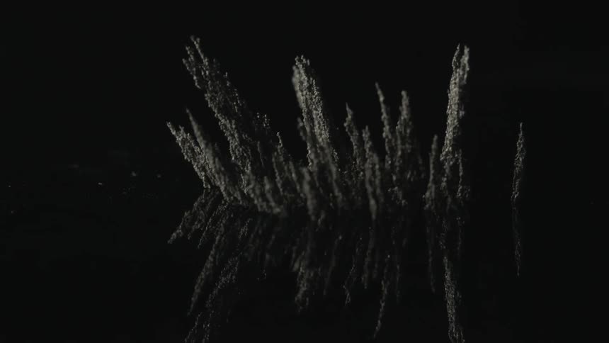 Magnet dust that looks like evergreen trees with a black background