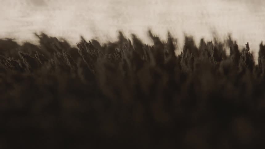 Black fibers blowing in the wind