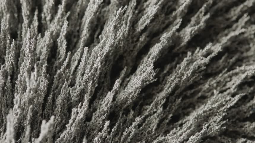 A time lapse of a snow crystal