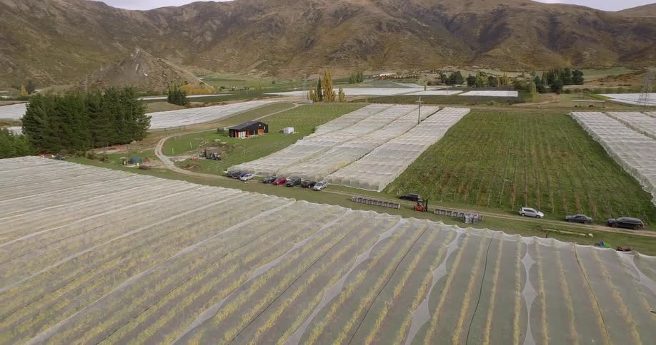 New Zealand Winery