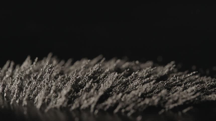 Magnet dust that looks like evergreen trees with a black background