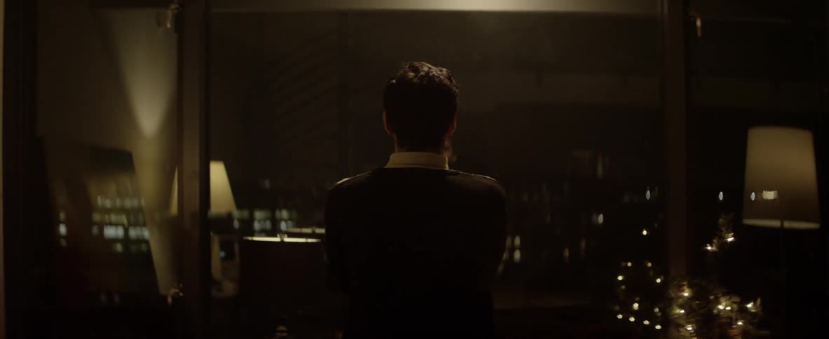 A person looks out a window over a city at night