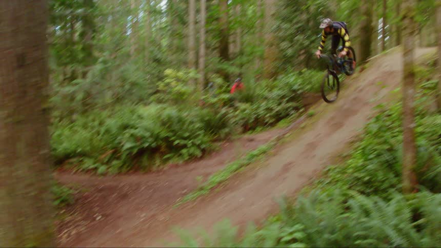 A person on a bike jumps a path in the woods