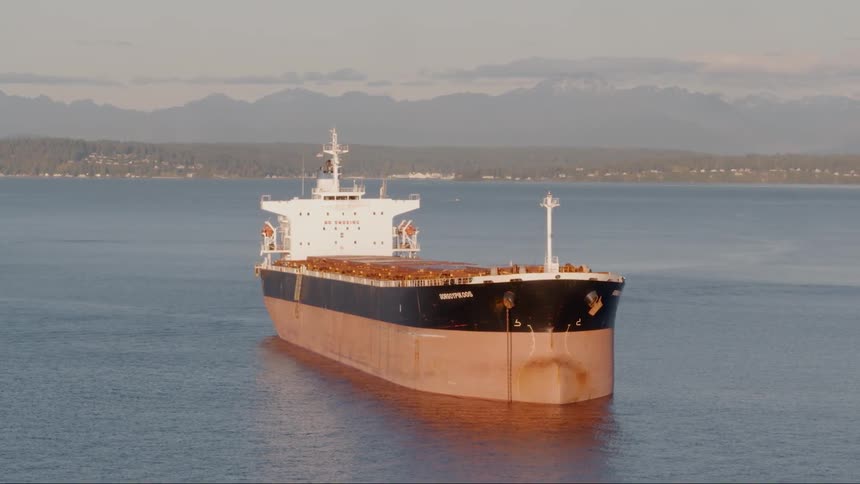 A large ship sails in the ocean far from the shore