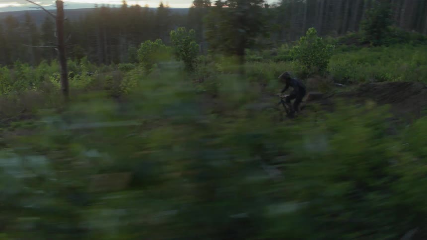 Man riding bike downhill at the wild
