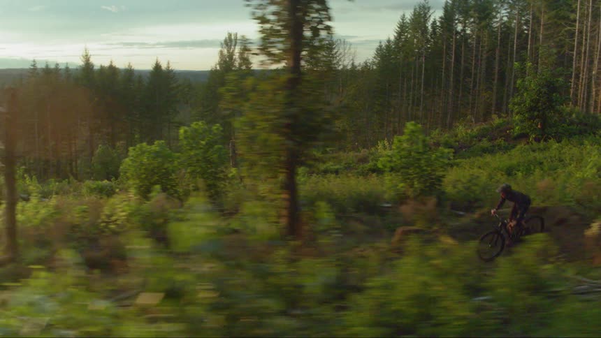 Cyclist cycles on the road in the forest at sunset