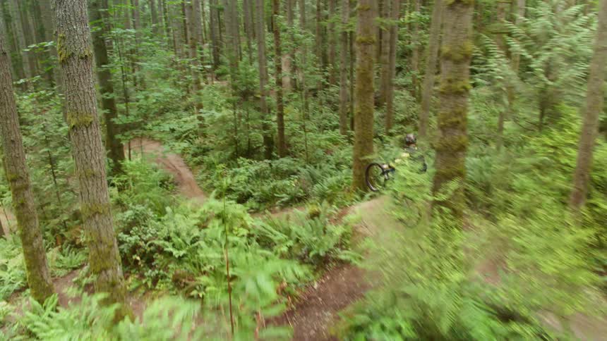 A biking track with jumps and tricks in a heavily forested area