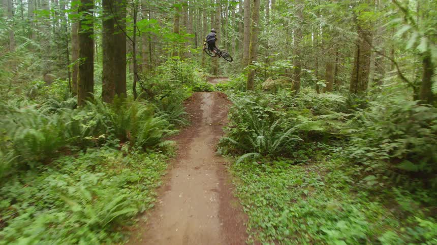 A person riding a bicycle jumps a dirt ramp in the woods
