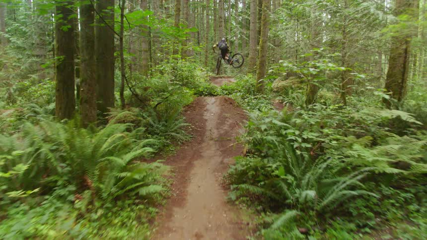 Cyclist cycles on the path in the forest during daylight