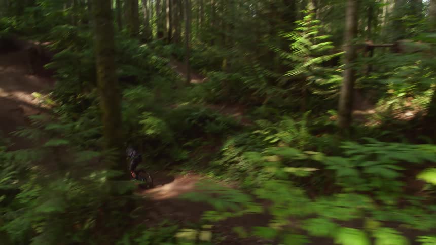 A boy rides his bike over a jump in a forest