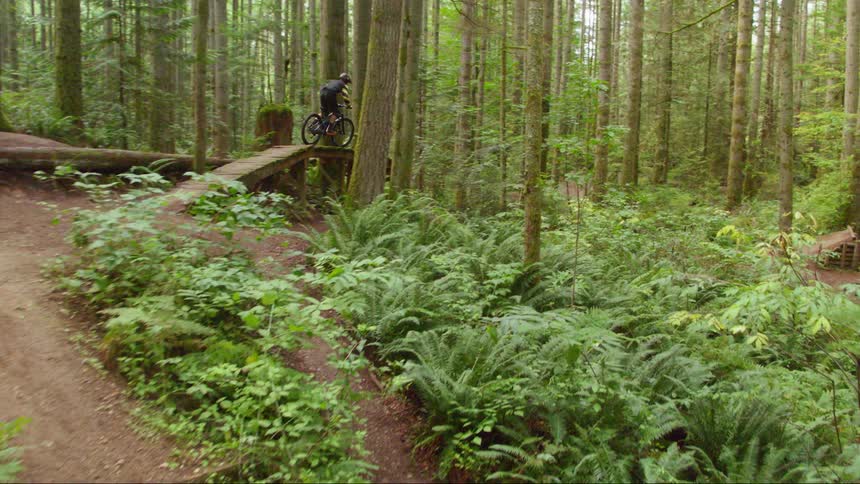 A boy rides his bike up a hill and over a bridge in a forest