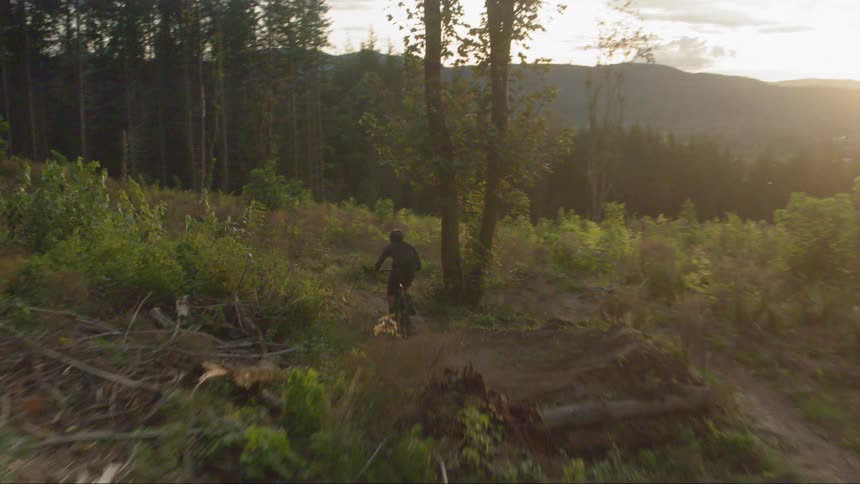 A man mountain biking at the forest