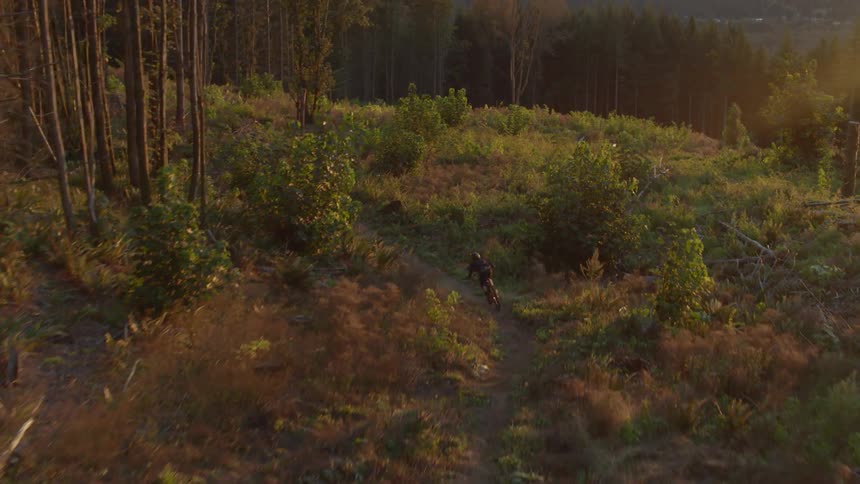 A bicyclist rides a dirt bike along a bumpy dirt trail in the woods